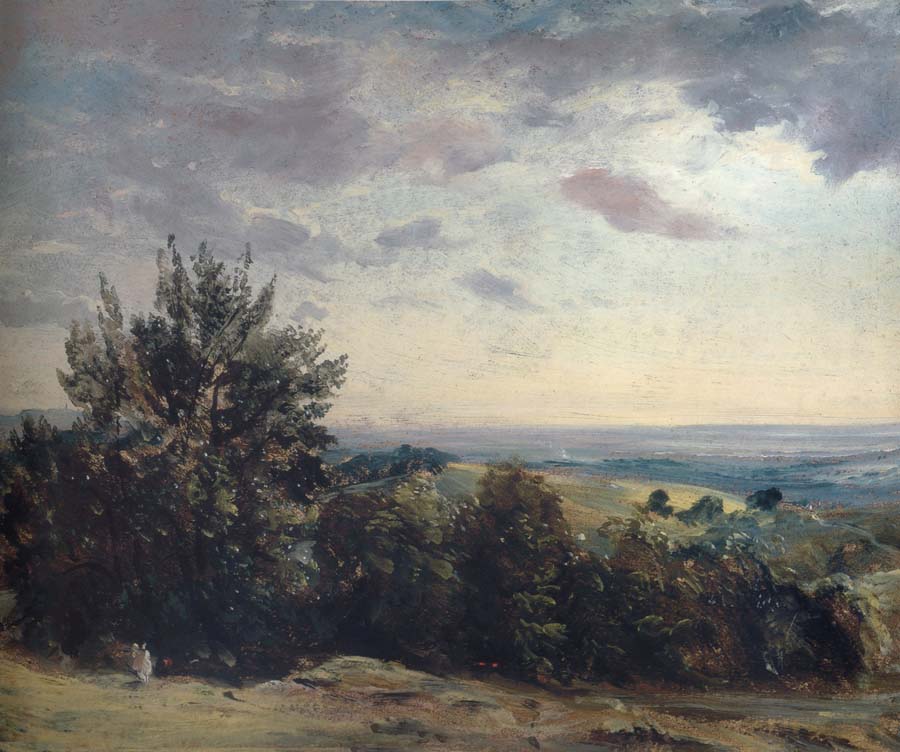 View from Hampstead Heath,Looking West